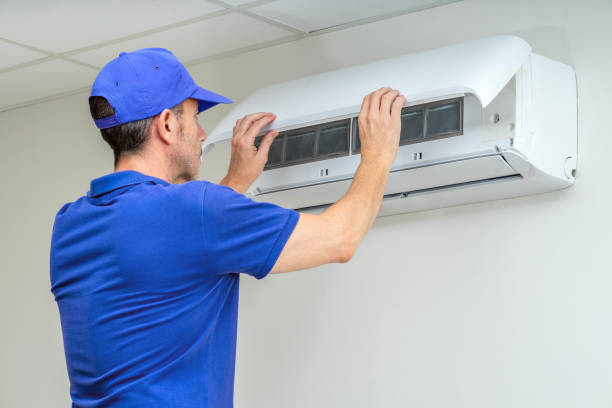 Best Air Duct Mold Removal  in Port Washington North, NY